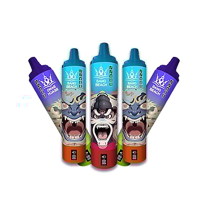 bang beach 22000 bouffées vape jetable en gros