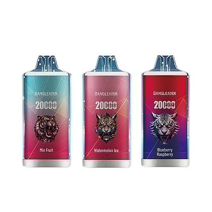 bang leader 20000 bouffées vape jetable en gros