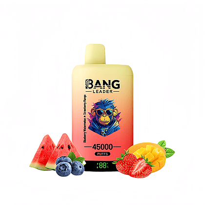 bang leader 45000 puffs wholesale disposable vape