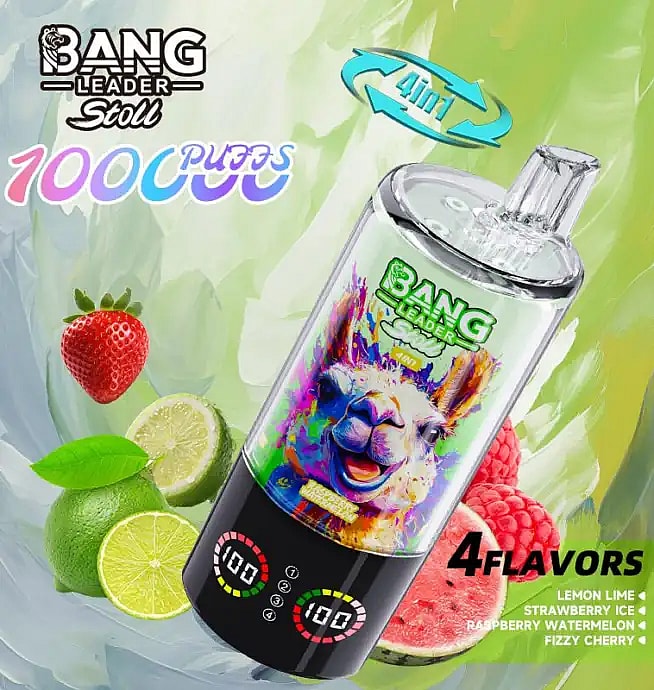 bang leader stoll 100k 100000 bouffées vape jetable en gros