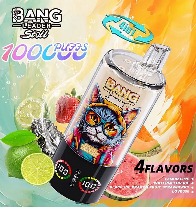bang leader stoll 100k 100000 bouffées vape jetable en gros