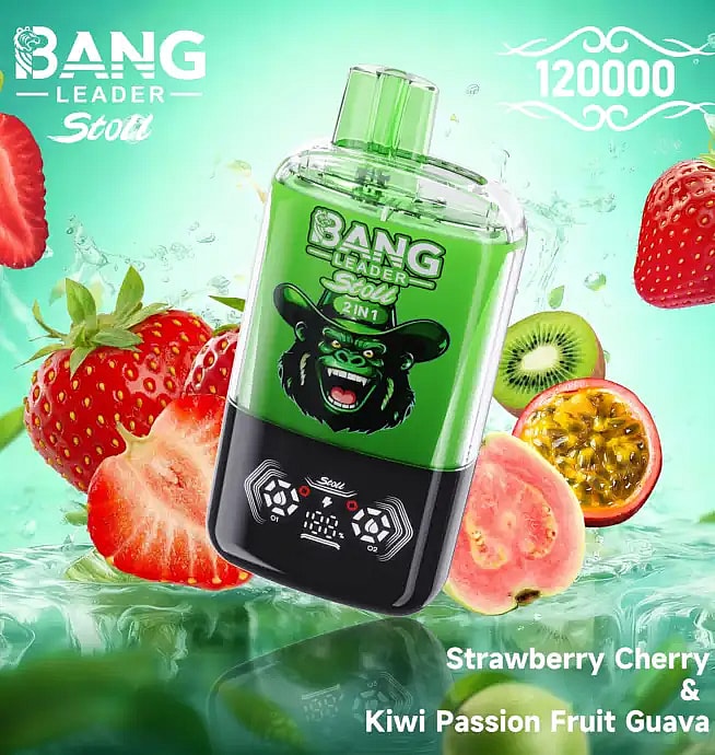 bang leader stoll 120k 120000 puffs wholesale disposable vape