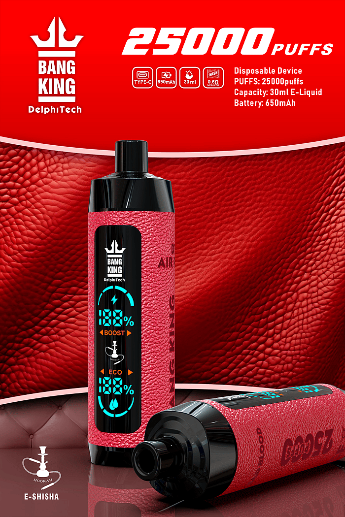 Bang King Shisha 25000 bocanadas Vape desechable al por mayor
