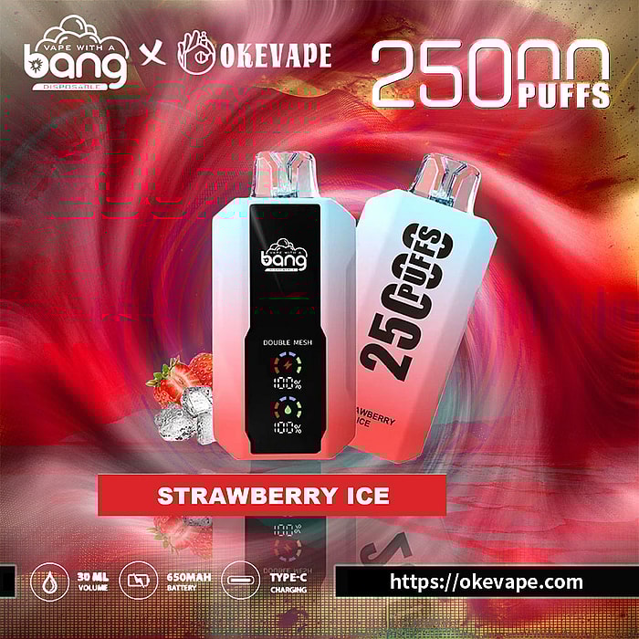 bang 25000 sbuffi vaporizzatore usa e getta all'ingrosso