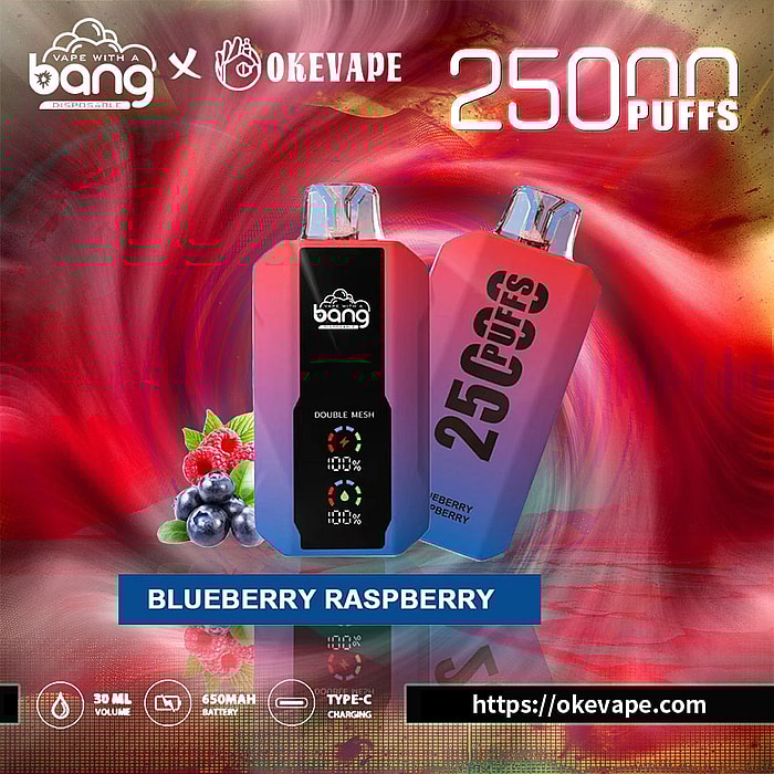 OkeVape_Bang_25000_Puffs