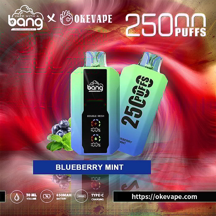 OkeVape_Bang_25000_Puffs