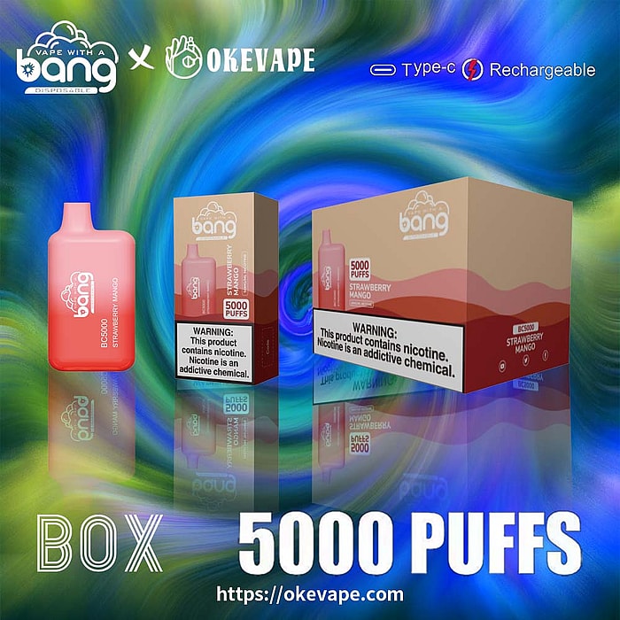 Bang BC5000 5000 Züge Großhandel Einweg-Vape