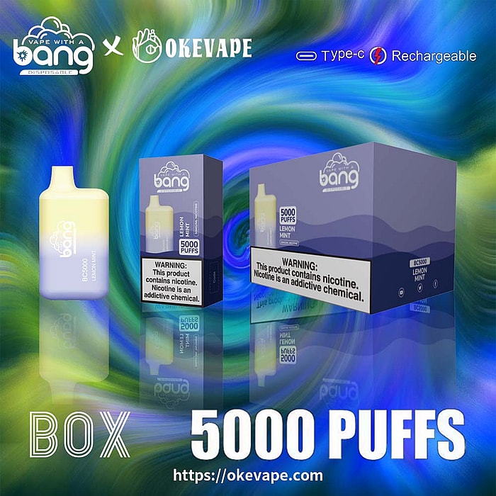 Bang BC5000 5000 Züge Großhandel Einweg-Vape