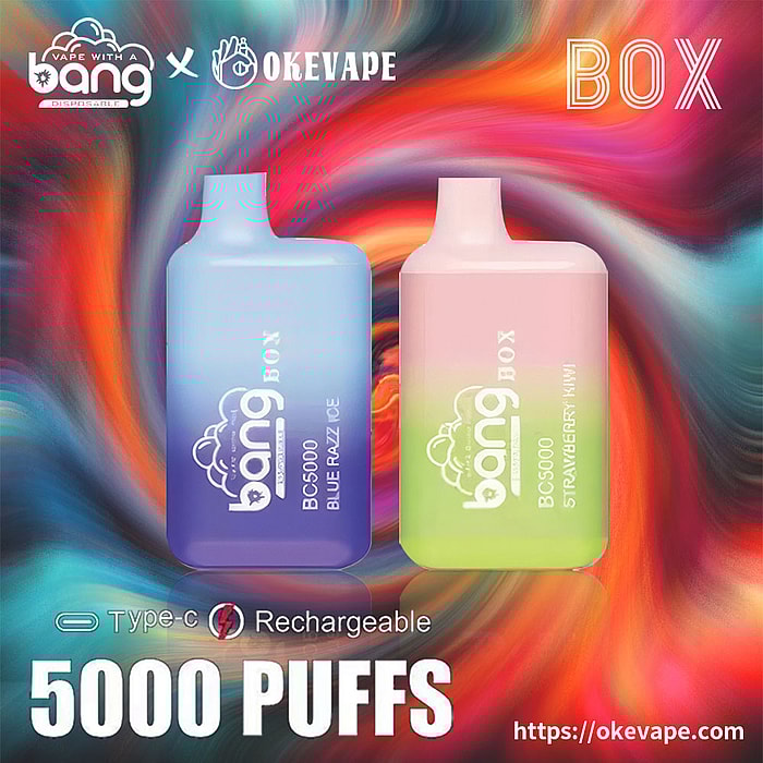 Bang BC5000 5000 Züge Großhandel Einweg-Vape