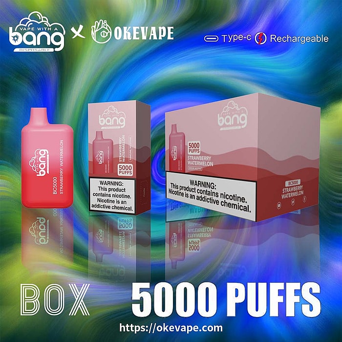 Bang BC5000 5000 Züge Großhandel Einweg-Vape