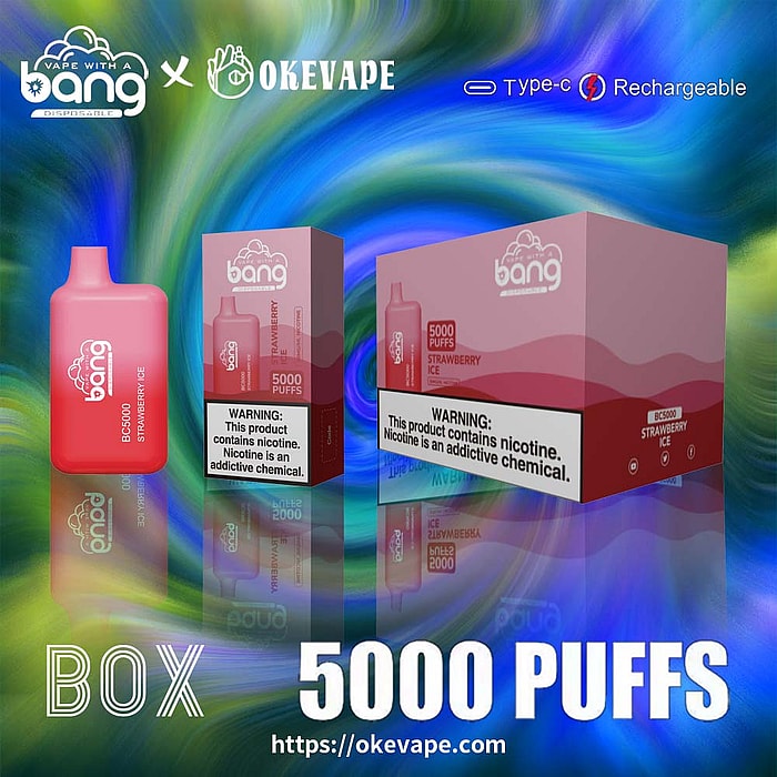 Bang BC5000 5000 Züge Großhandel Einweg-Vape