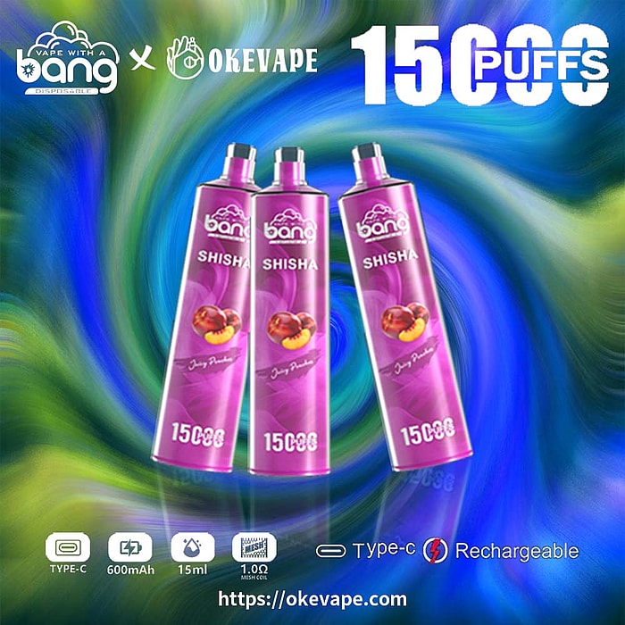 bang shisha 15000 puffs wholesale disposable vape