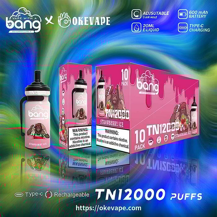 Bang TN 12000 Puffs Großhandel Einweg-Vape