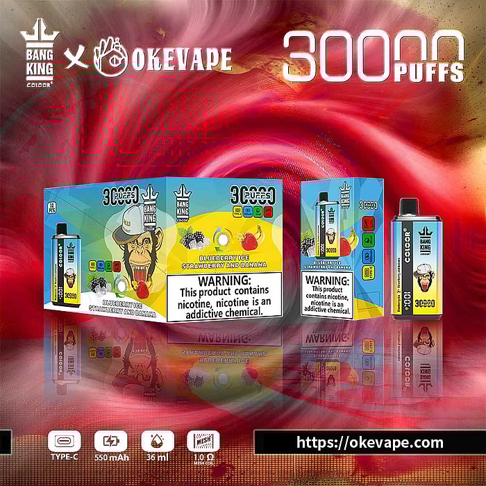 bang king 30000 puffs wholesale disposable vape