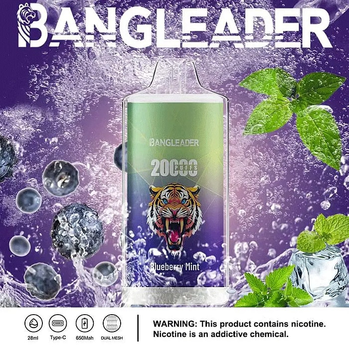 bang leader 20000 puffs wholesale disposable vape