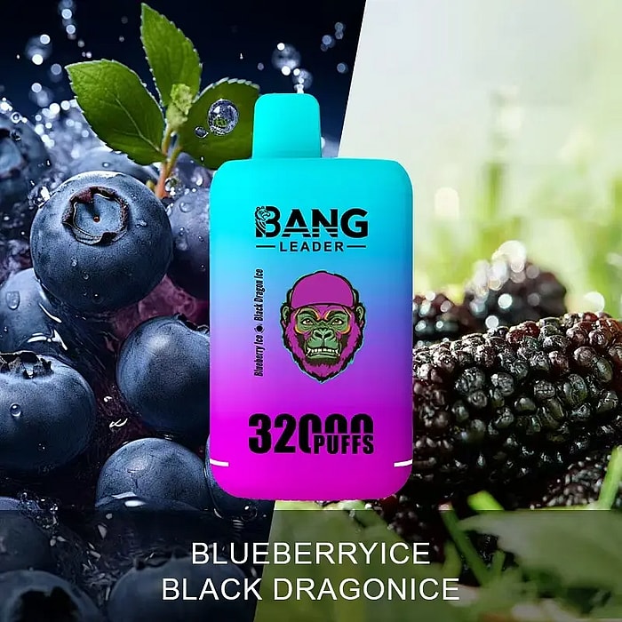 bang leader 32000 sbuffi all'ingrosso monouso vape