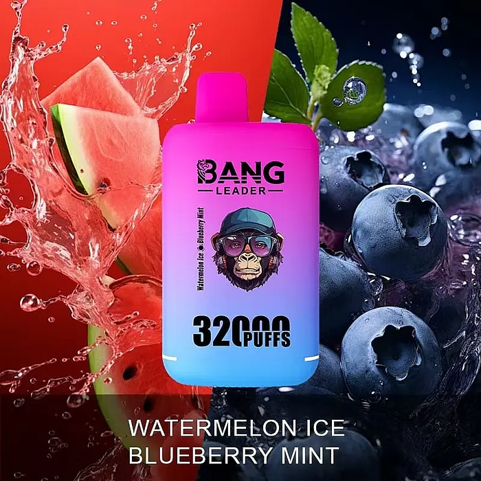 bang leader 32000 sbuffi all'ingrosso monouso vape