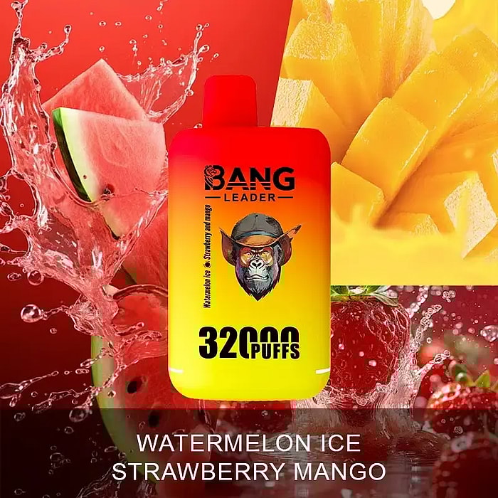 bang leader 32000 sbuffi all'ingrosso monouso vape