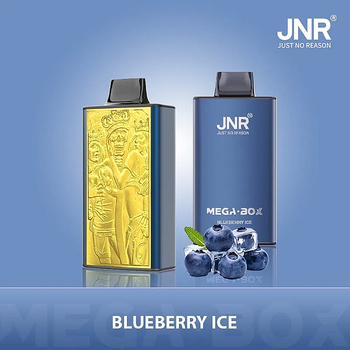 jnr mega box 25000 puffs wholesale disposable vape