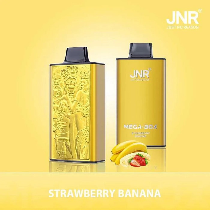 jnr mega box 25000 puffs wholesale disposable vape