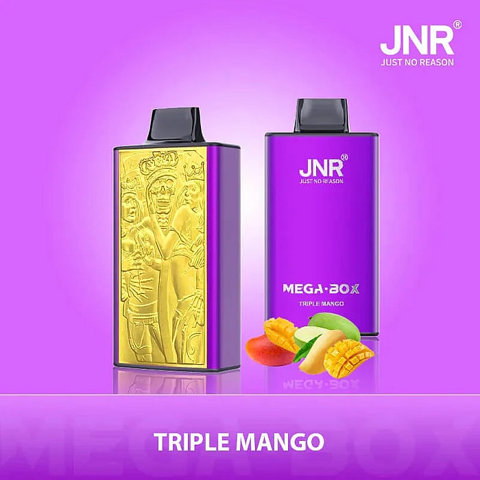 jnr mega box 25000 puffs wholesale disposable vape