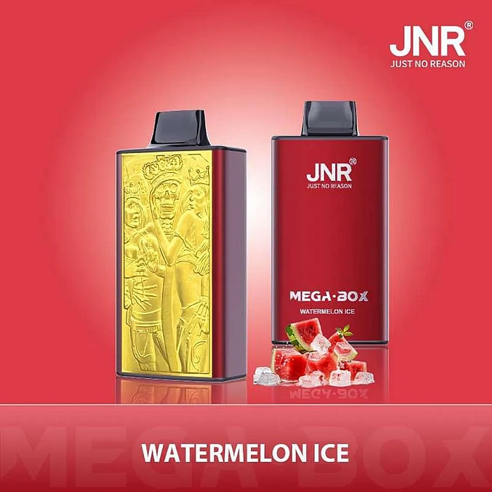 jnr mega box 25000 puffs wholesale disposable vape