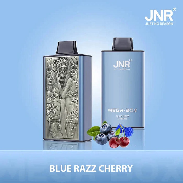 jnr mega box 25000 puffs wholesale disposable vape