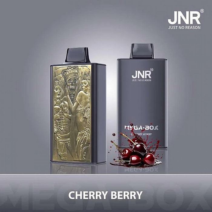 jnr mega box 25000 puffs wholesale disposable vape