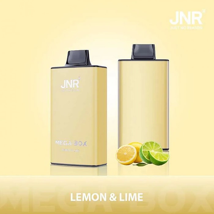 jnr mega box 25000 puffs wholesale disposable vape