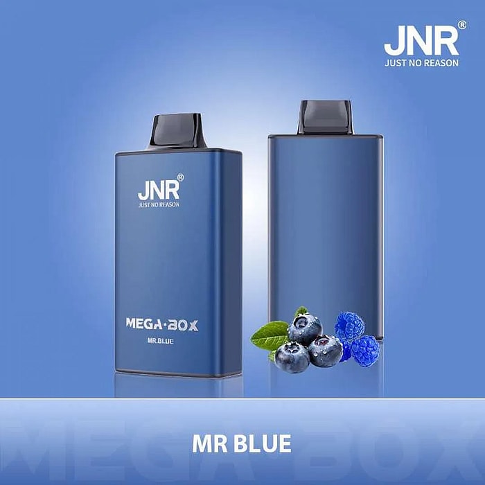 jnr mega box 25000 puffs wholesale disposable vape