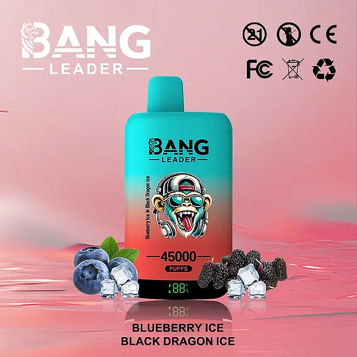 bang leader 45000 puffs wholesale disposable vape