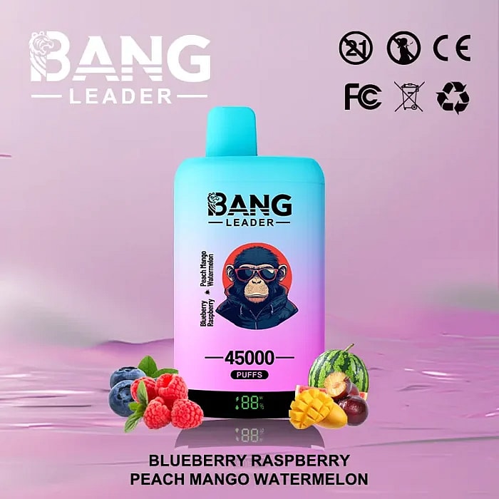 bang leader 45000 puffs wholesale disposable vape