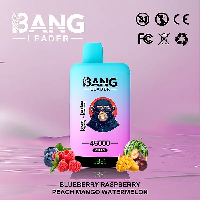 bang leader 45000 puffs wholesale disposable vape