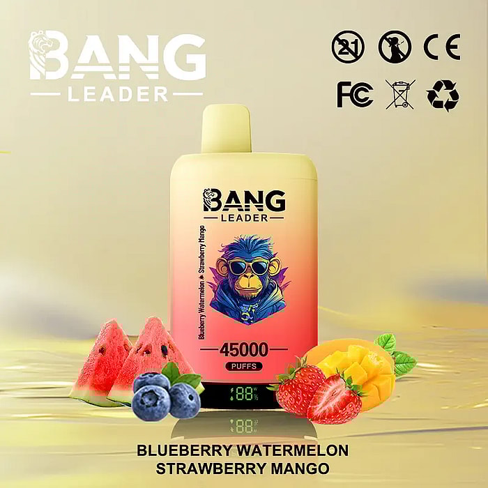 bang leader 45000 puffs wholesale disposable vape