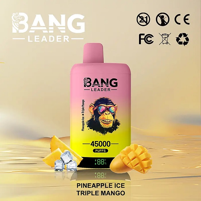 bang leader 45000 puffs wholesale disposable vape