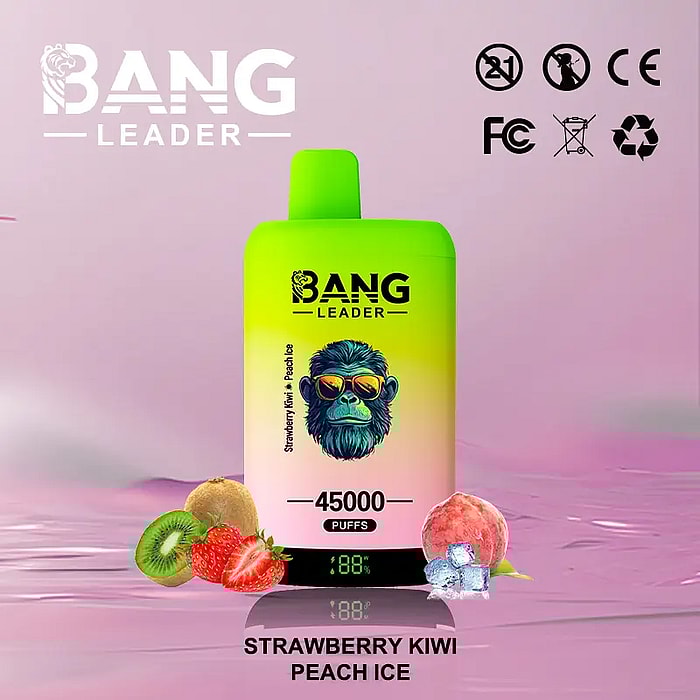 bang leader 45000 puffs wholesale disposable vape