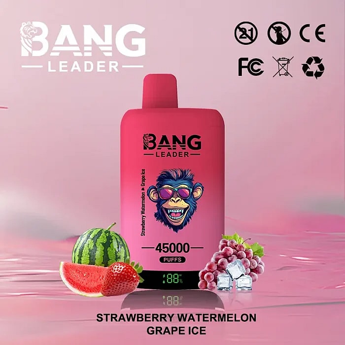 bang leader 45000 puffs wholesale disposable vape