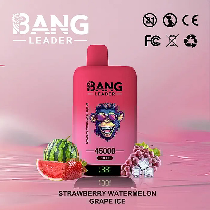 bang leader 45000 puffs wholesale disposable vape