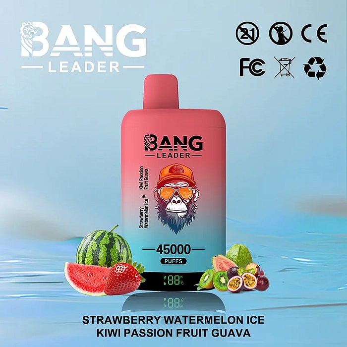 bang leader 45000 puffs wholesale disposable vape