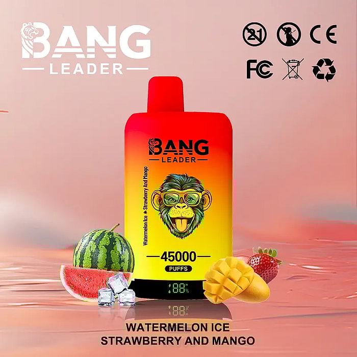 bang leader 45000 puffs wholesale disposable vape