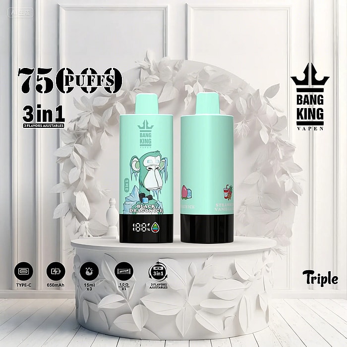bang king 75000 puffs groothandel wegwerp vape