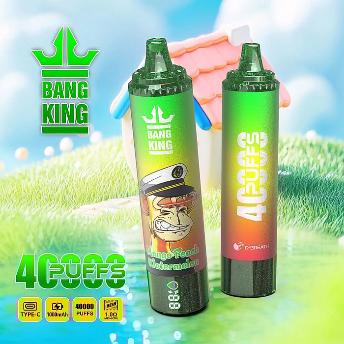 Bang King Tornado 40 000 bouffées (40 000 bouffées) Vape jetable en gros