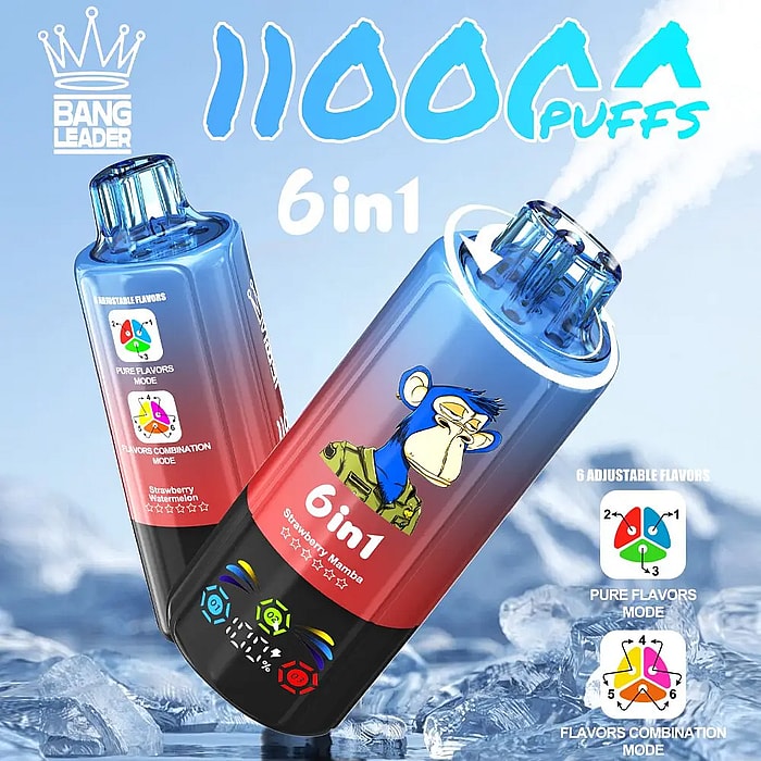 バングリーダー 110000 110k パフ卸売使い捨て VAPE