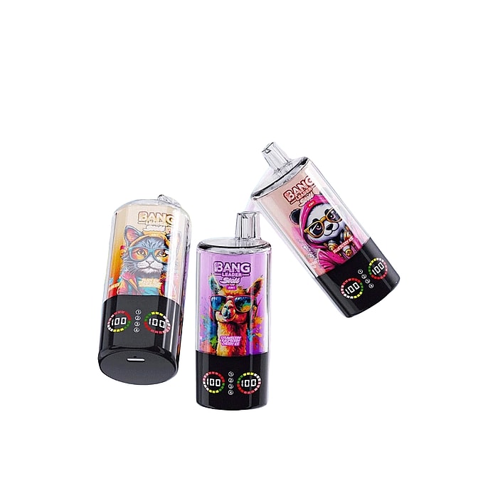 bang leader stoll 100k 100000 bouffées vape jetable en gros