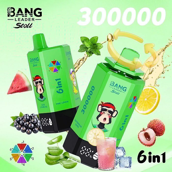 bang leader 300000 300k puffs wholesale disposable vape