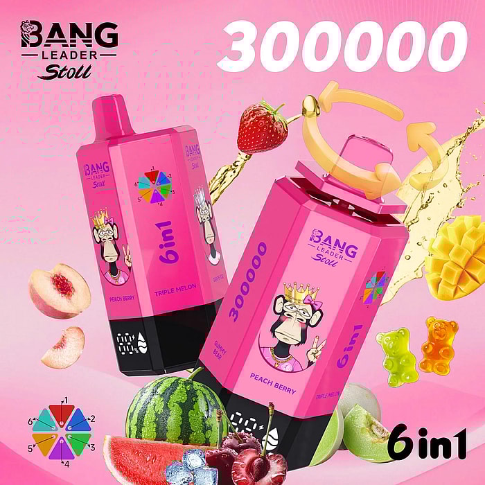 bang leader 300000 300k puffs wholesale disposable vape