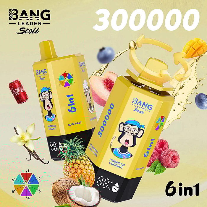 bang leader 300000 300k puffs wholesale disposable vape