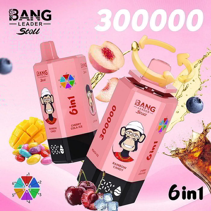 bang leader 300000 300k puffs wholesale disposable vape