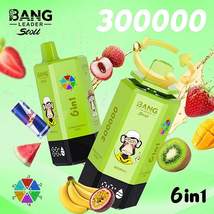 bang leader 300000 300k puffs wholesale disposable vape