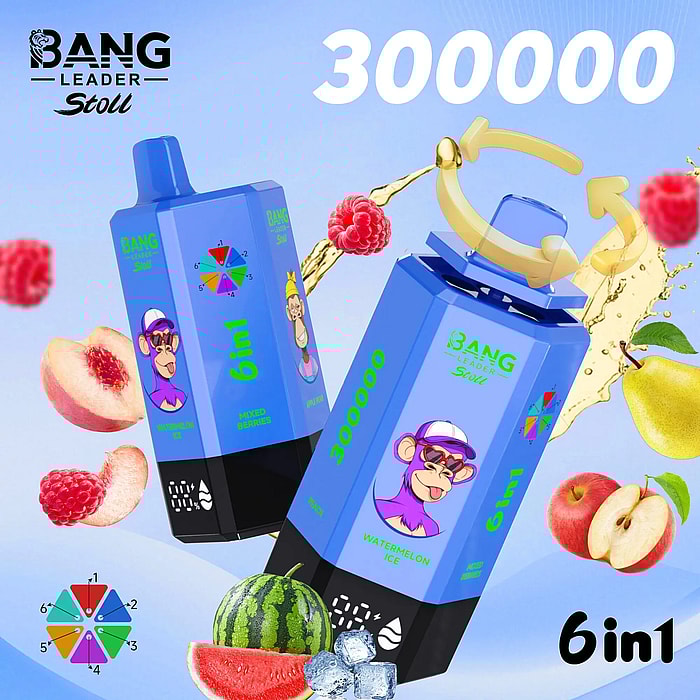 bang leader 300000 300k puffs wholesale disposable vape